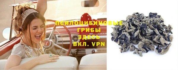 мдпв Иннополис