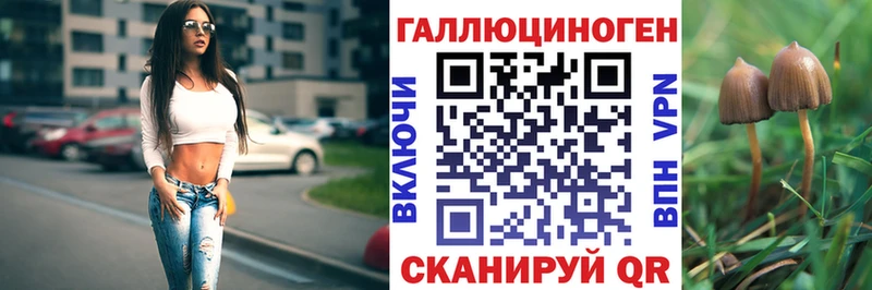 Купить  Касли  Псилоцибиновые грибы мухоморы 